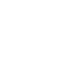 Activation Blizzard Logo transparent background